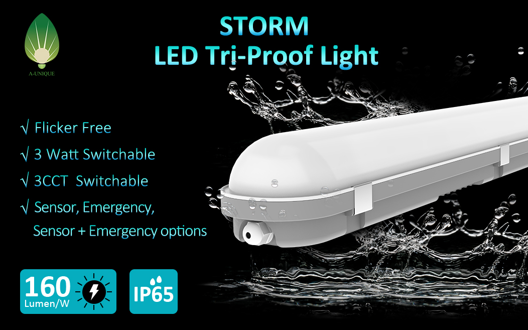 IP65 Tri-proof Light